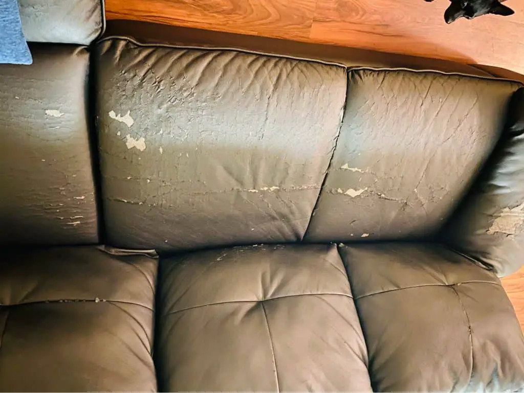scs leather sofa peeling